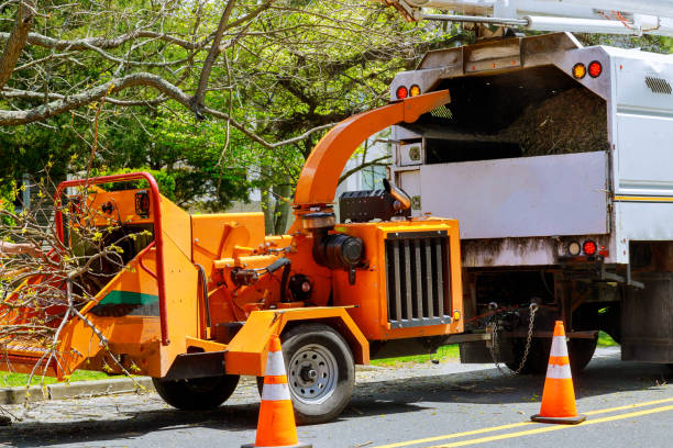 Best Firewood Processing and Delivery  in Louise, TX